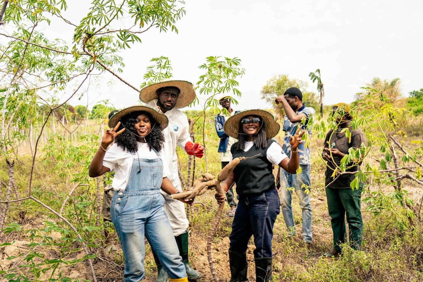 Cassava farming in rural Nigeria